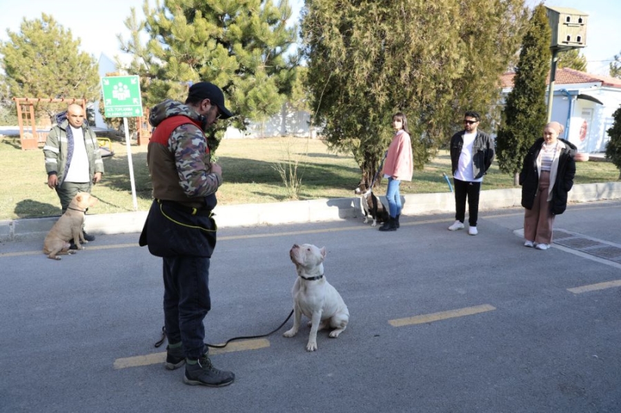 Niğdede Tehlikeli Köpek Cinslerine UYUM Eğitimi