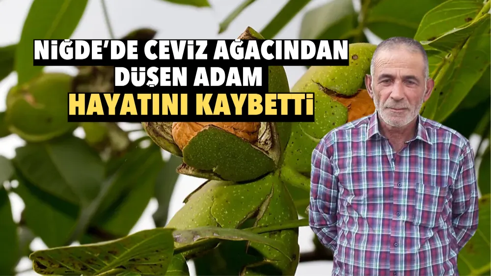 Niğde’de ceviz ağacından düşen adam hayatını kaybetti