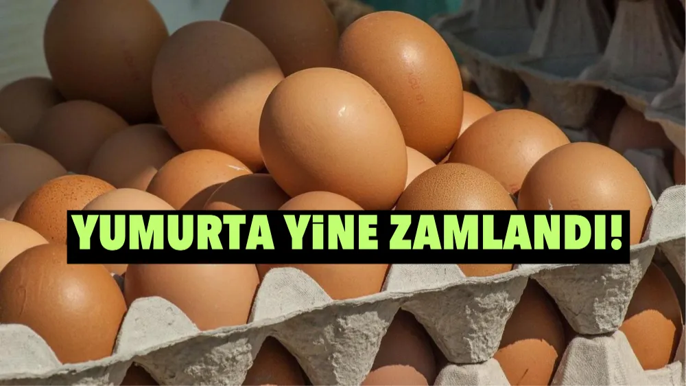 Yumurta yine zamlandı