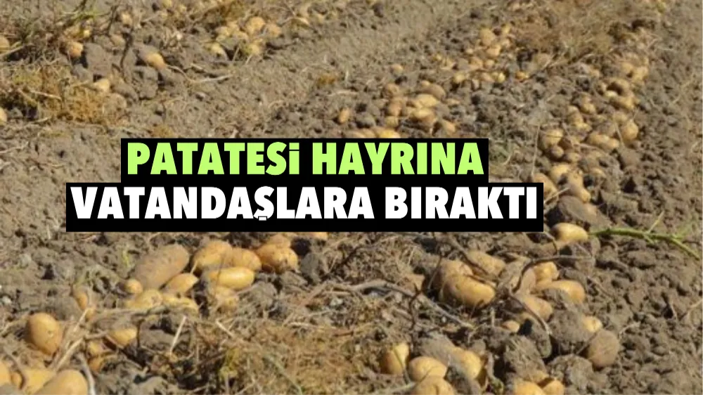 Patatesi hayrına vatandaşlara bıraktı