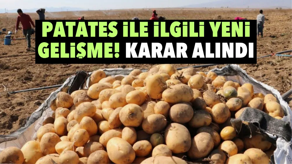 Patates ile ilgili yeni gelişme! Karar alındı