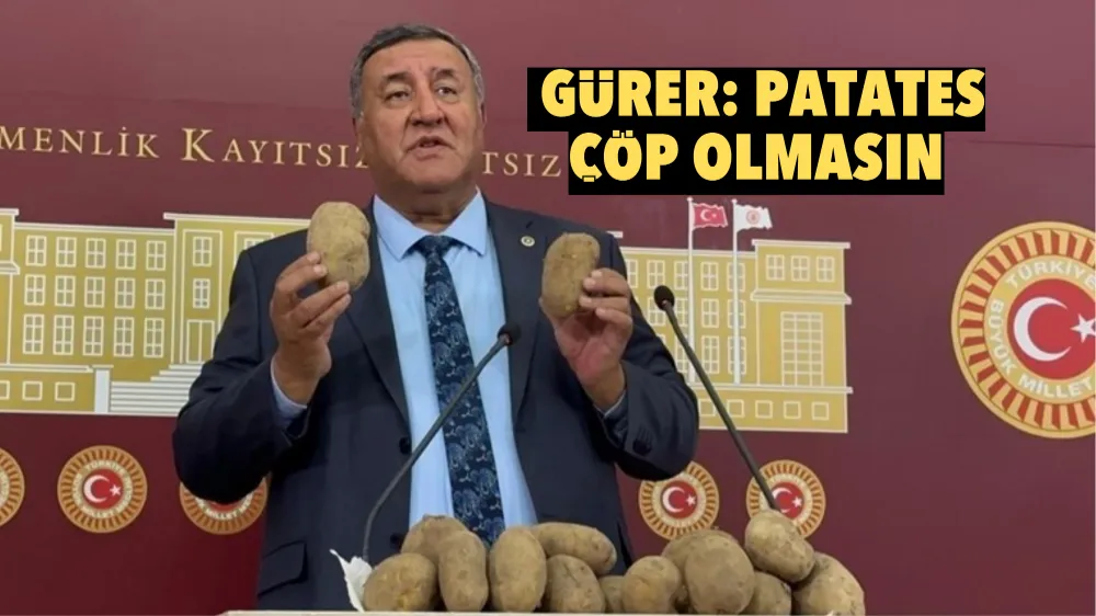 Gürer: Patates çöp olmasın! Kamu alım yapsın