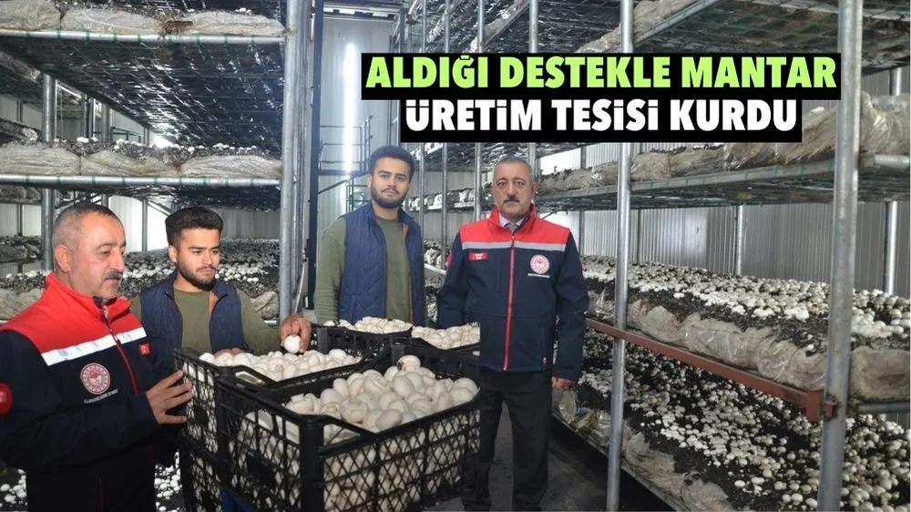 Aldığı destekle mantar üretim tesisi kurdu