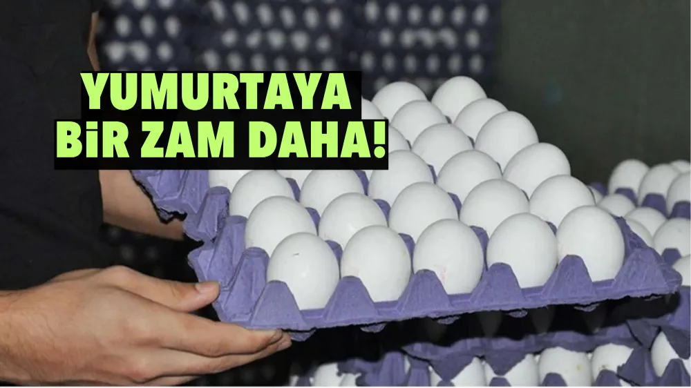 Yumurtaya bir zam daha!