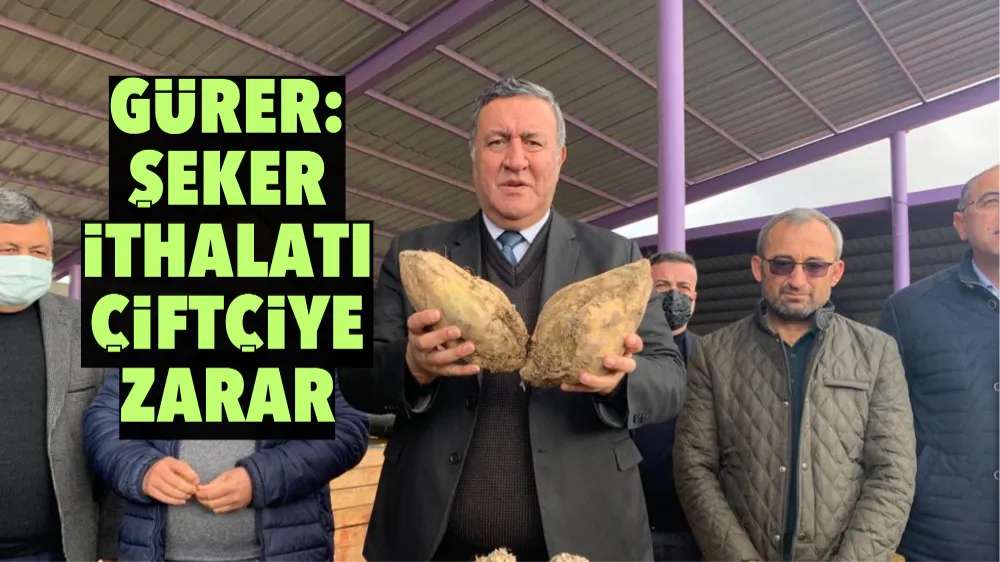 Gürer: Şeker İthalatı Çiftçiye zarar