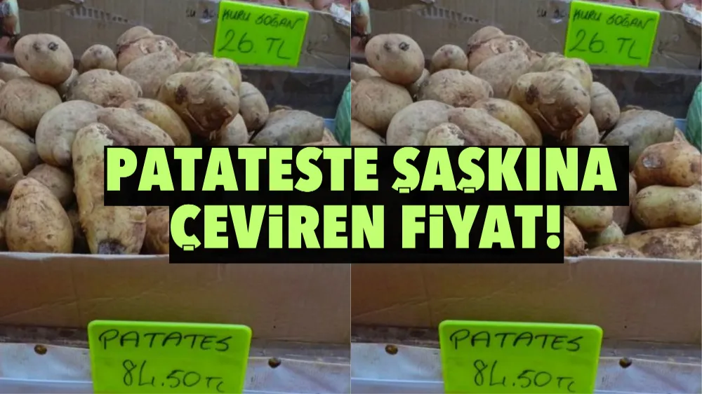 Patateste şaşkına çeviren fiyat!