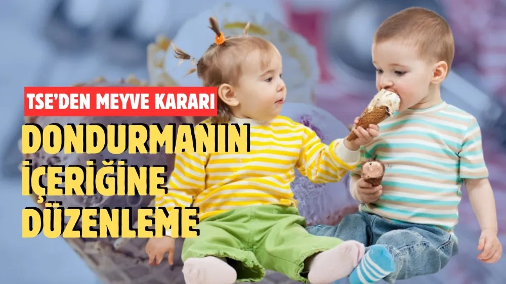 Dondurmanın içeriğine düzenleme: TSE