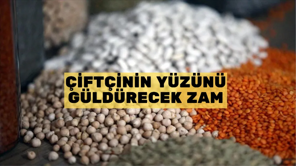 Çiftçinin yüzünü güldürecek zam! Buğday, mısır, arpada fiyatlar değişti