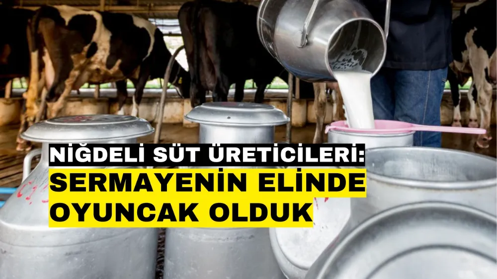 Niğdeli Süt Üreticileri: Sermayenin elinde oyuncak olduk