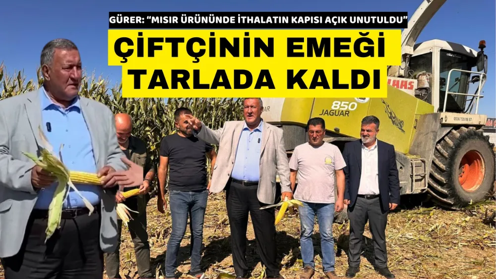 ÇİFTÇİNİN EMEĞİ TARLADA KALDI