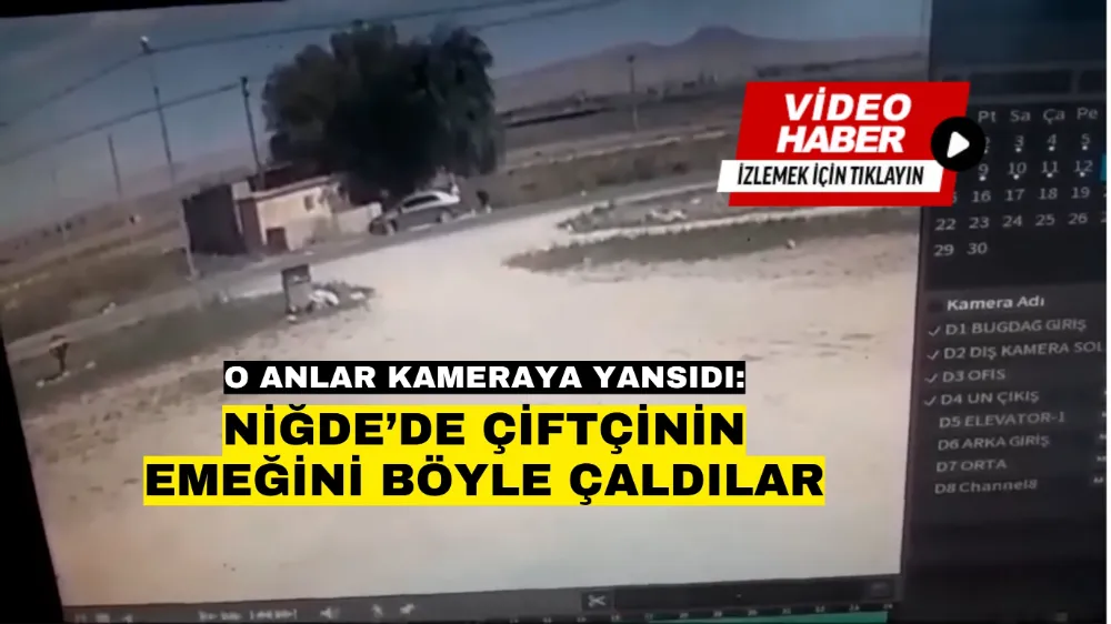 Niğde’de çiftçinin emeğini böyle çaldılar!