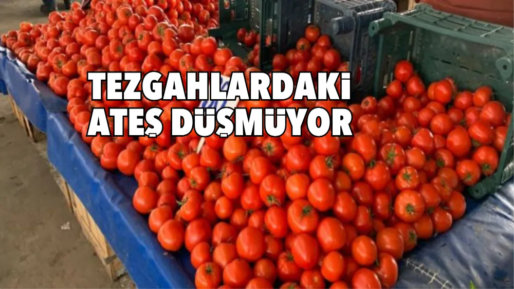 Tezgâhlardaki Ateş Düşmüyor